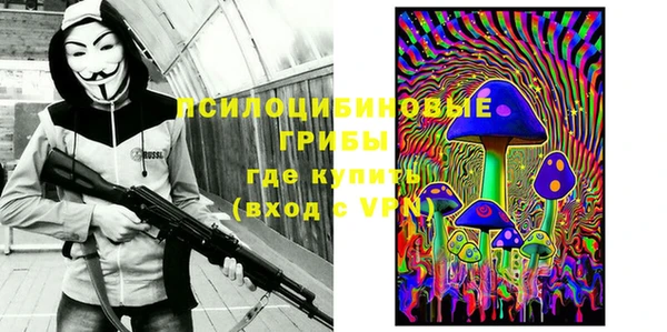 герыч Алексин