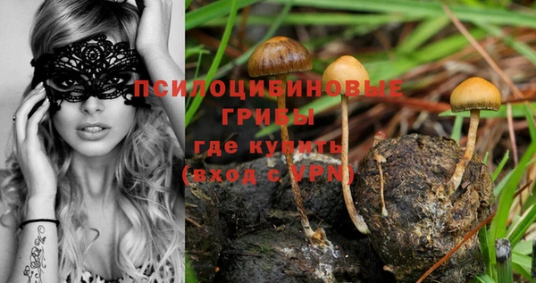 хмурый Абдулино