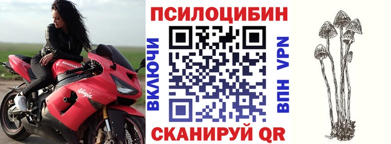 Псилоцибиновые грибы Magic Shrooms  нарко площадка состав  Тверь 